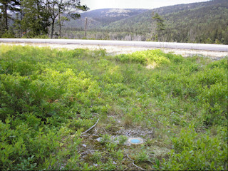 Looking NE toward Route 198, Upper Hadlock Pond and the mountains beyond.