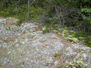 Wider view of the station area. Note heavy forest behind, where we (eventually) found RM 1.