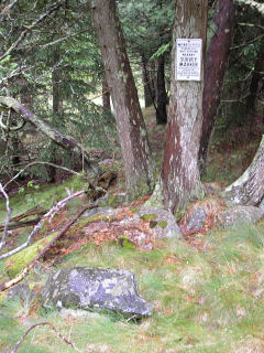 A USGS witness sign on a nearby tree, not mentioned in the datasheet description.