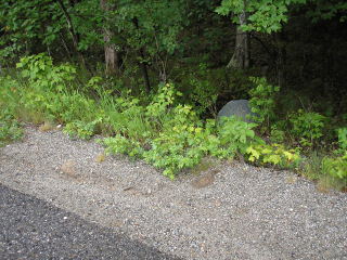 The (also difficult-to-spot) culvert, seen from the road.