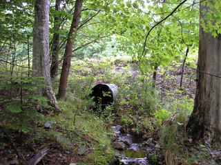 Looking SE from the mark toward the culvert.