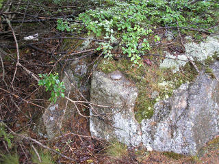 Eyelevel view of the disk in the rock outcrop.