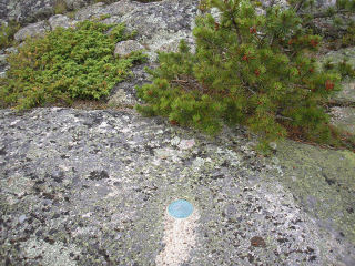 Eyelevel view of the disk on bedrock.