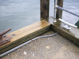 Eyelevel view of the disk set in the northeast corner of the Municipal Pier.