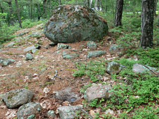 Looking NNE toward the 5-foot high boulder mentioned in the description.