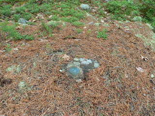 Eyelevel view of the disk on the rock ledge.