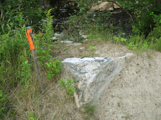 Looking N, the West Branch of the Ausable River in the background.