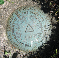 NGS Triangulation Station Disk JOHN BROWNS GRAVE