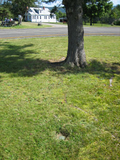 Looking SSE toward red spruce tree. RM 2 is located near the mailbox and picnic table in the background.