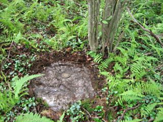 Eyelevel view of the disk on the small boulder.