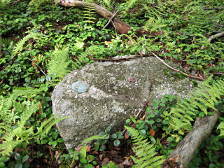 Eyelevel view of the disk on the boulder.