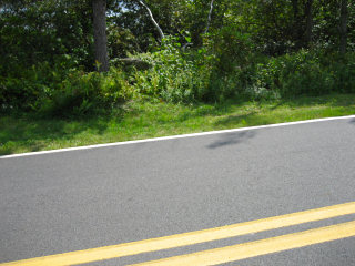 Looking S from road toward azimuth mark.