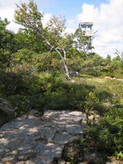 Eyelevel view of the station disk in bedrock. Looking E toward the Camelback fire tower (LY2687).