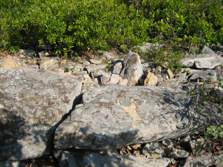 Eyelevel view of RM 1 on boulder.