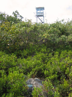 Looking WSW toward the fire tower.