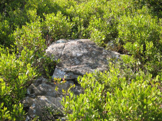 Eyelevel view of boulder and disk (indicated).