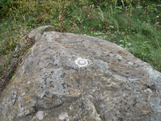 Eyelevel view of disk on the large rock outcrop.