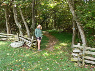 A trail heads off into the woods from Little Hogback Overlook.