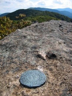 Attempt at an eyelevel view from a precarious position.