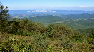 View from the Jewell Hollow overlook.