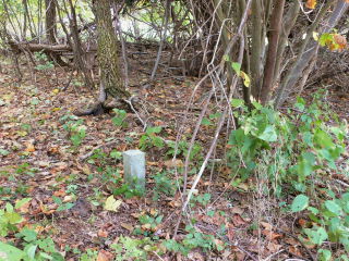 The concrete post is barely visible in the woods, but somehow Rich saw it from the road!