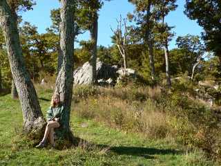Resting at Jewell Hollow.