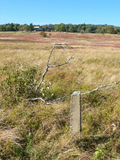 Looking NW toward Skyline Drive and the Byrd Visitor Center.