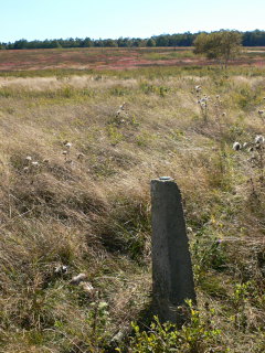 Looking S across the colorful meadow.