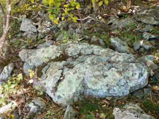 Disk set into large outcrop.