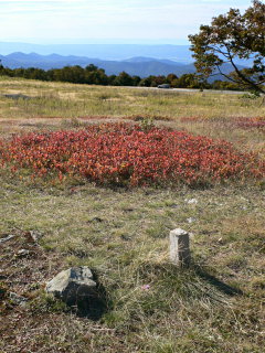 Looking W toward Tanners Ridge Overlook and the mountains beyond.