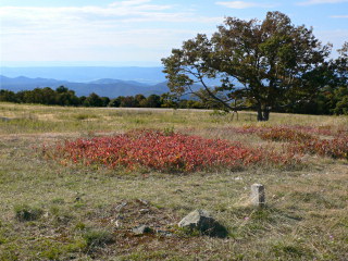 A wider view showing more of the lovely, colorful scenery.