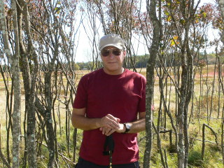 Rich stands in this lavender-colored miniature grove.