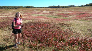 Almost lost among all the bright colors!