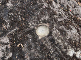 Eyelevel view of the disk on the rock outcrop.