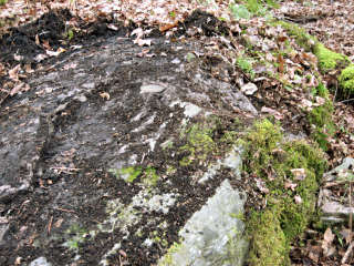 The disk sits high on the outcrop.