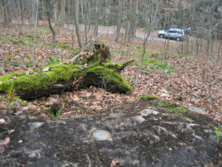 Looking approximately N toward the station monument (indicated).