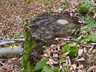 Eyelevel view of the disk on the rock outcrop.