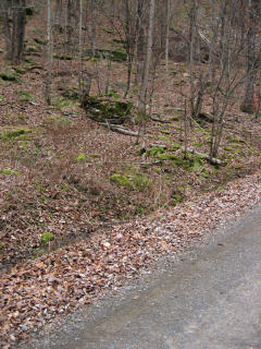 Looking W from the road toward the outcrop and disk.