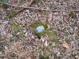 The station disk on the small rock outcrop.