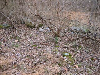 Looking SW toward remains of the rock fence line.