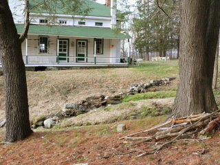 Looking toward the E corner of the house.