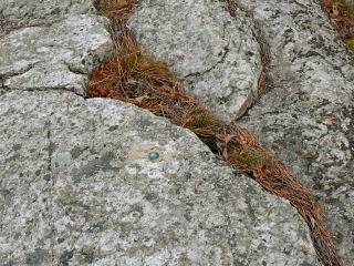 Eyelevel view of the remains of the station disk on rock ledge.