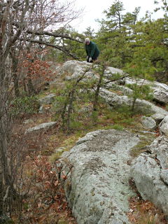 Looking NE along rock ledge.