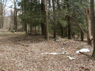 Looking E toward the woods road leading S to campgrounds.