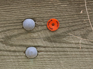 Closeup of ‘Survey Witness Point’ marker near the bridge. Was this meant to be a point itself, or is it a reference to LY0754?