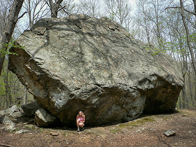 Bear Rock