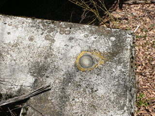 Eyelevel view of the disk on the bridge abutment.