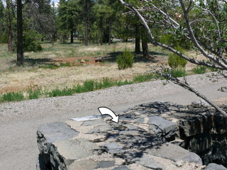 Looking N, away from the overlook and toward the wooded area. The survey mark disk is hard to spot due to the harsh lighting.