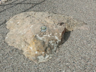 Eyelevel view of the disk on the boulder.