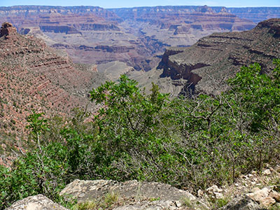 View NE toward the Bright Angel Trail in the distance